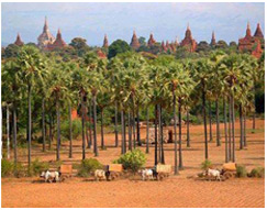 Famous Pagodas in Myanmar