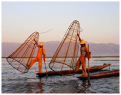 Myanmar National Tribes